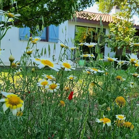 Villa Nar Datça