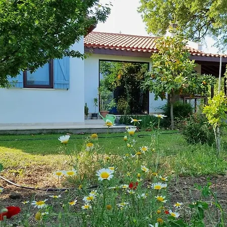 Nar Villa Datça