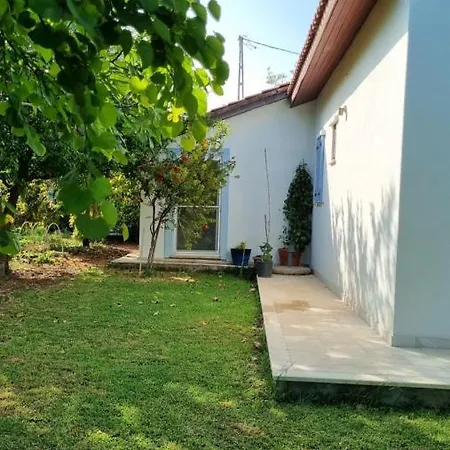 Nar Datça