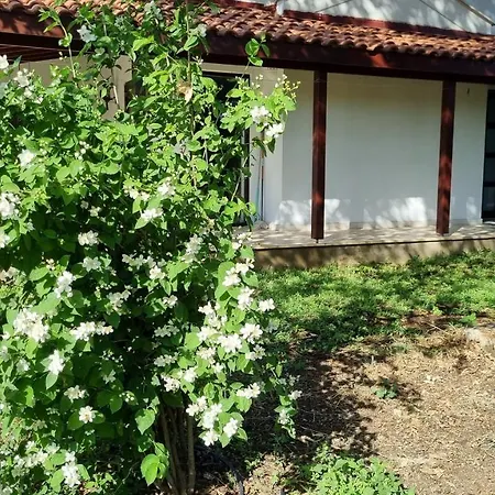 Nar * Datça